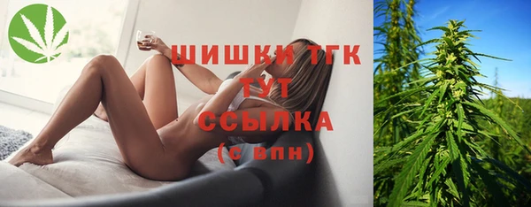 apvp Богданович