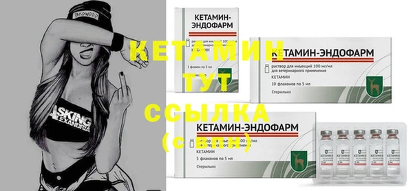 дживик Богородицк