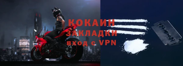 дживик Богородицк