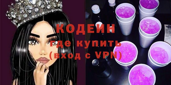 дживик Богородицк