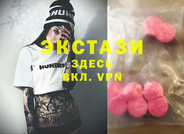 дживик Богородицк