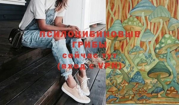 дживик Богородицк