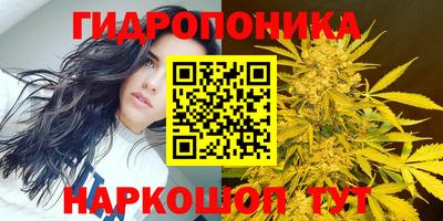ешки Заволжье