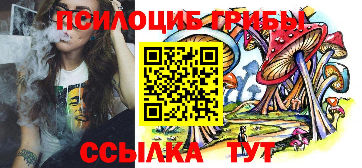 Галлюциногенные грибы прущие грибы Острогожск