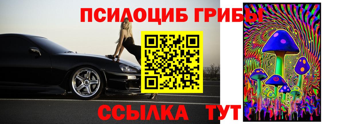 Острогожск  Псилоцибиновые грибы Cubensis  Вход с VPN 